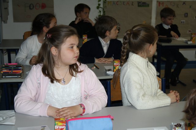 Megyei helyesírási verseny